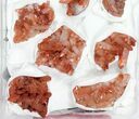 Lot: Natural, Red Quartz Crystal Clusters - Pieces #101505-2